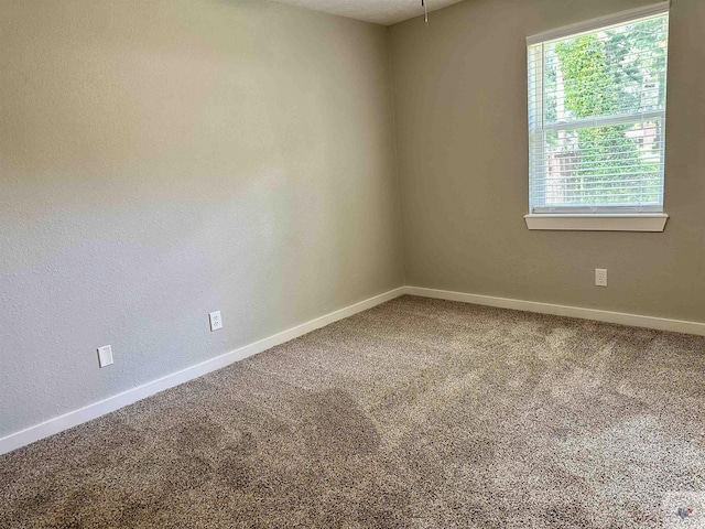 unfurnished room with carpet flooring and a healthy amount of sunlight