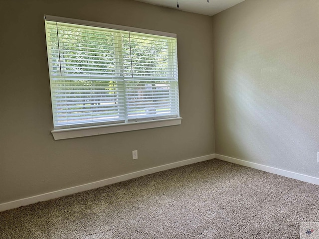 carpeted empty room featuring a healthy amount of sunlight