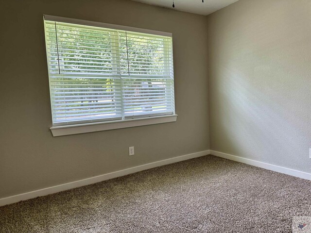 carpeted empty room featuring a healthy amount of sunlight