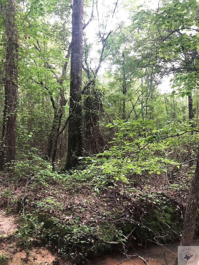 Mc 10, Fouke, AR 71837