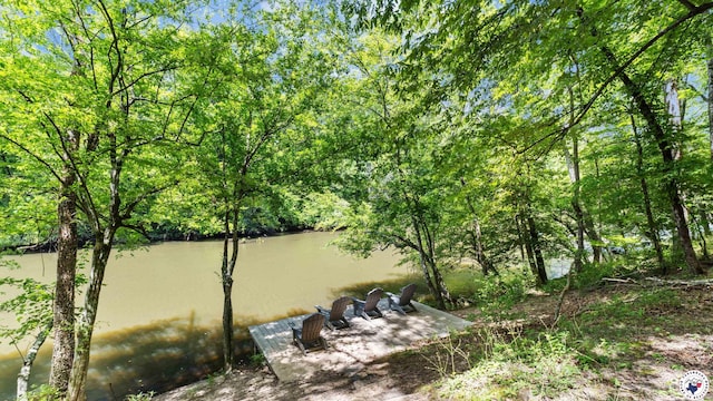 54 Quail Ln, Murfreesboro, AR 71958 - photo 4
