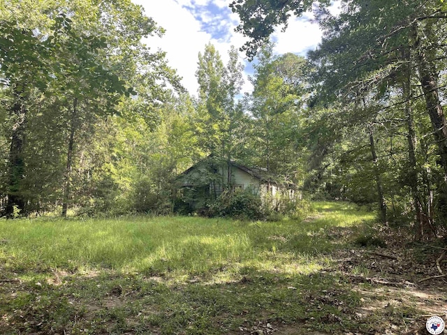 TBD Fm 2683, Jefferson, TX 75657 - photo 19