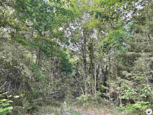 TBD Fm 2683, Jefferson, TX 75657 - photo 6