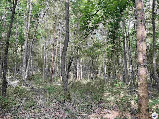 TBD Fm 2683, Jefferson, TX 75657 - photo 5