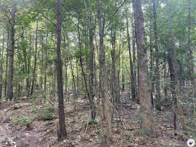 TBD Fm 2683, Jefferson, TX 75657 - photo 20