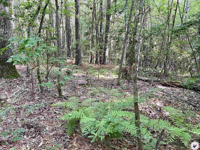 TBD Fm 2683, Jefferson, TX 75657 - photo 14