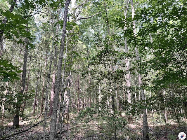 TBD Fm 2683, Jefferson, TX 75657 - photo 12
