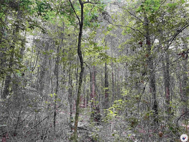 TBD Fm 2683, Jefferson, TX 75657 - photo 21