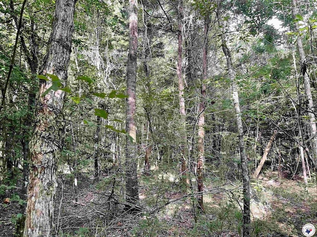 TBD Fm 2683, Jefferson, TX 75657 - photo 10