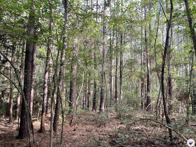TBD Fm 2683, Jefferson, TX 75657 - photo 15