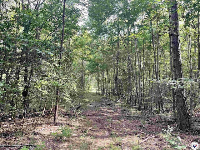 TBD Fm 2683, Jefferson, TX 75657 - photo 18