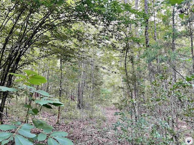 TBD Fm 2683, Jefferson, TX 75657 - photo 7