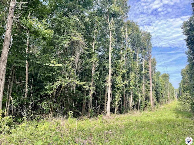 TBD Fm 2683, Jefferson, TX 75657 - photo 3