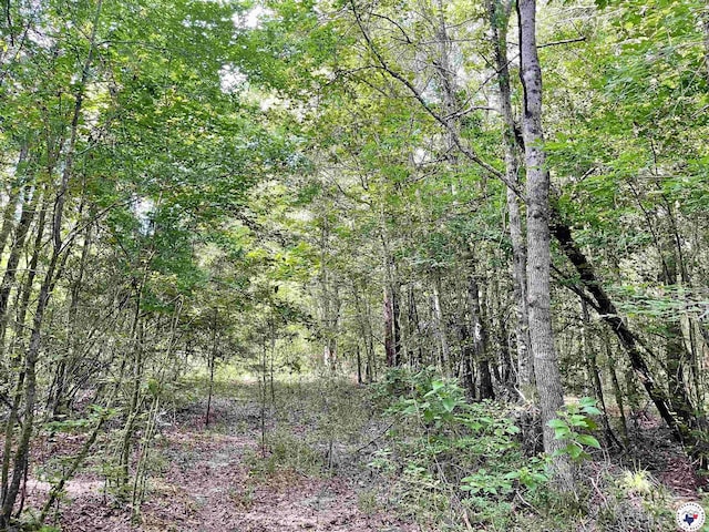 TBD Fm 2683, Jefferson, TX 75657 - photo 8
