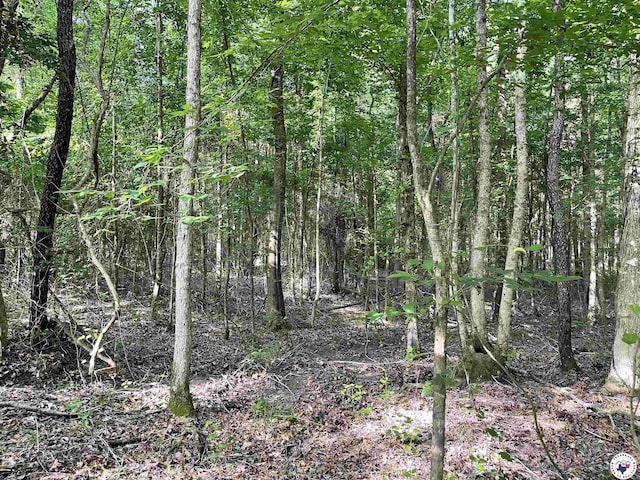 TBD Fm 2683, Jefferson, TX 75657 - photo 4