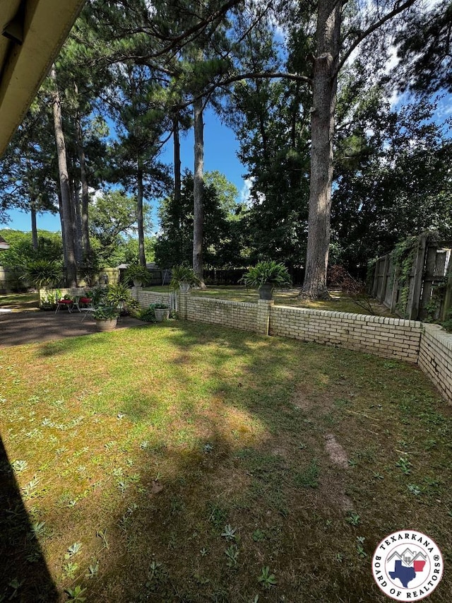 1509 W 40th St, Texarkana, TX 75503 - view of yard