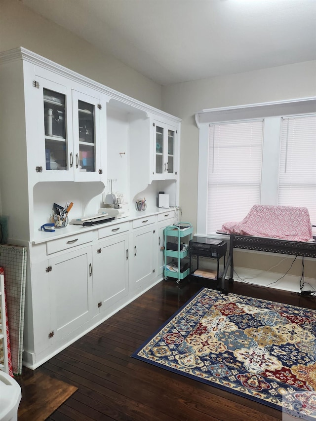 interior space with white cabinetry and dark wood-type flooring