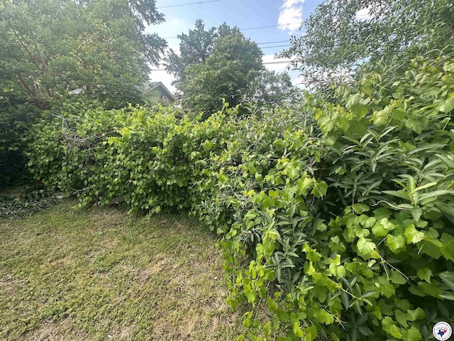 29 E Greenfield Dr, Wake Village, TX 75501 - view of yard