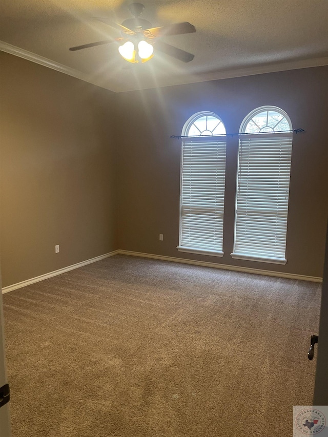 7311 Shilling Cir, Texarkana, TX 75503 - empty room featuring ornamental molding, a ceiling fan, carpet floors, baseboards, and a textured ceiling