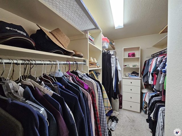walk in closet with carpet flooring