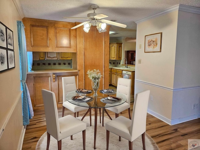 dining area with sink, ornamental molding, light hardwood / wood-style floors, and a textured ceiling