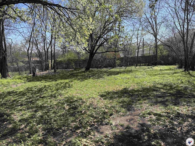 1100 W Jackson St, Clarksville, TX 75426 - view of yard