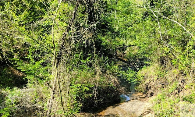 view of local wilderness featuring a water view