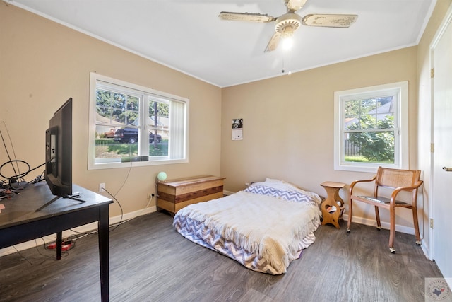 bedroom with ceiling fan, crown molding, dark wood-type flooring, and multiple windows