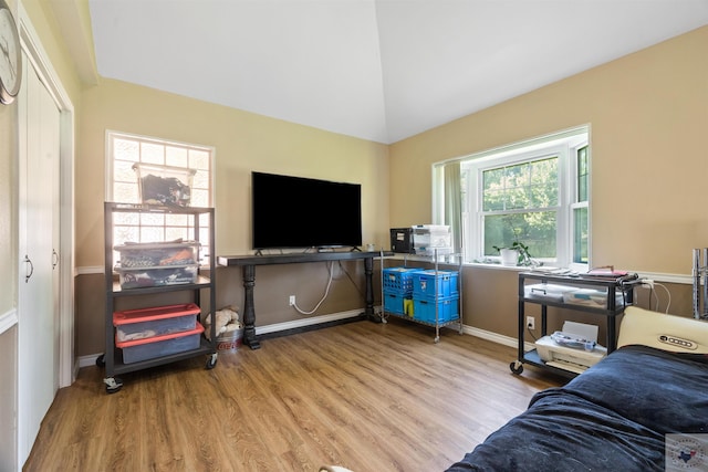 living room with light hardwood / wood-style flooring and vaulted ceiling