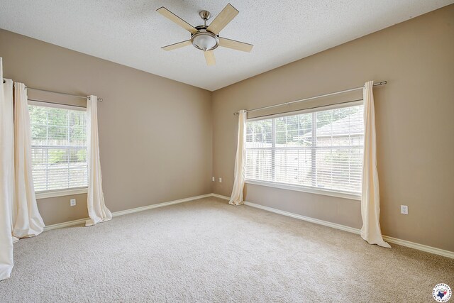 141 Arizona Ave, Wake Village, TX 75501 - photo 27