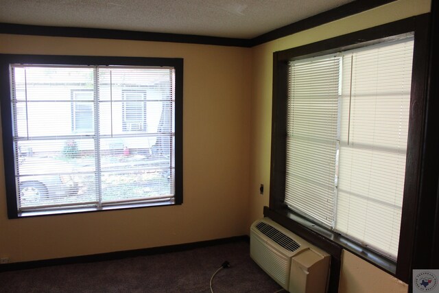 interior space with carpet, an AC wall unit, plenty of natural light, and a textured ceiling