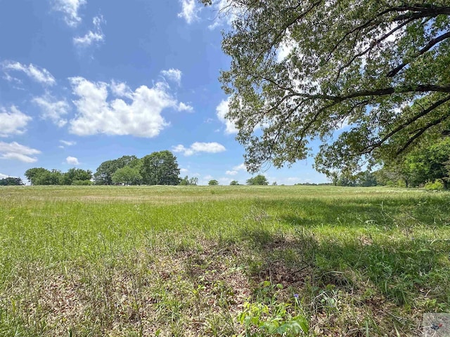 Listing photo 3 for TBD County Road 3347, Omaha TX 75571