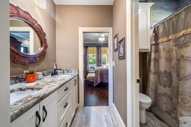 bathroom with toilet, a shower with shower curtain, and vanity