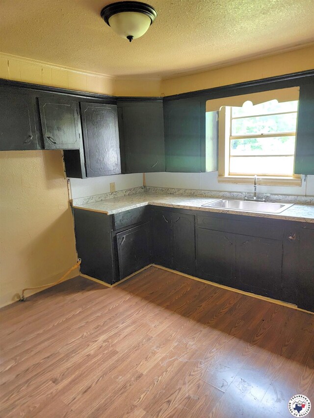 501 S Columbia St, Clarksville, TX 75426 - kitchen with a sink, light wood-style flooring, light countertops, and a textured ceiling
