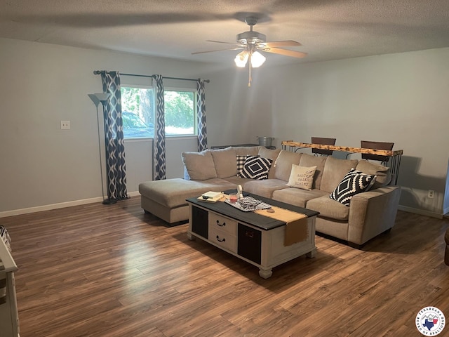 1921 E 40th St, Texarkana, AR 71854 - living area featuring wood finished floors, a ceiling fan, and a textured ceiling