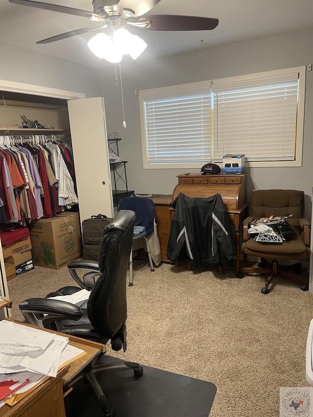 office area with ceiling fan and carpet flooring