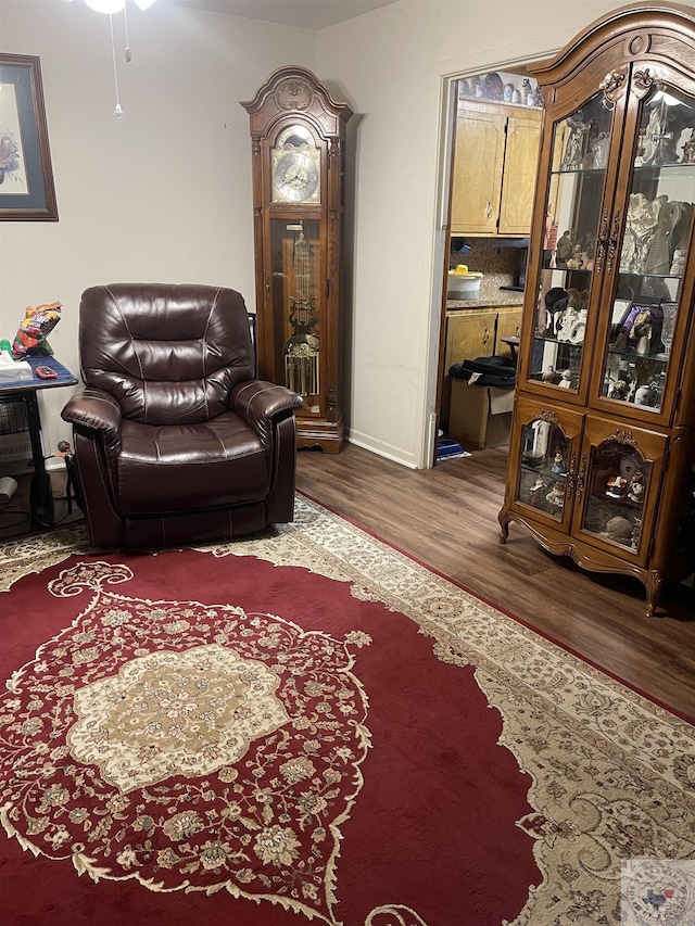 living room featuring hardwood / wood-style floors