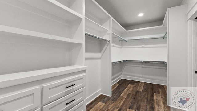 walk in closet featuring dark hardwood / wood-style flooring