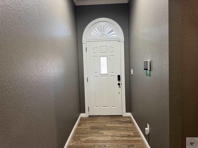 doorway to outside featuring dark wood-type flooring