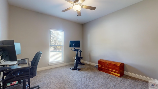 carpeted office featuring ceiling fan