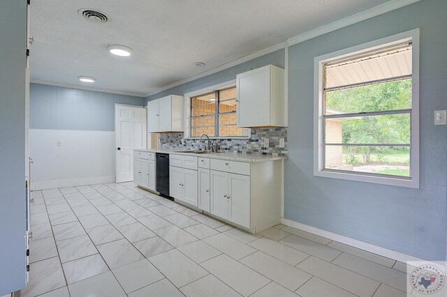 kitchen with sink, white cabinetry, ornamental molding, and tasteful backsplash