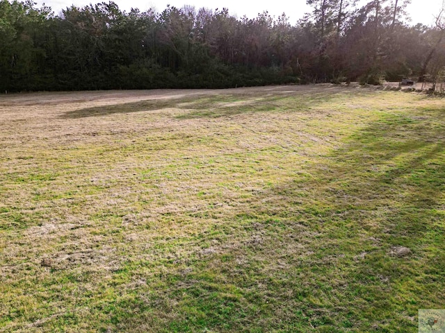 Listing photo 3 for TBD Cr 4234, Dekalb TX 75559