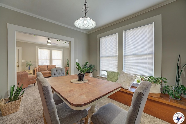 dining area with ornamental molding and ceiling fan
