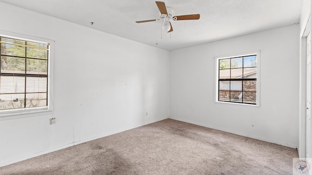 empty room featuring a textured ceiling, ceiling fan, and carpet flooring