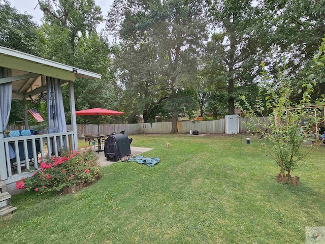 view of yard featuring a patio area and a storage shed