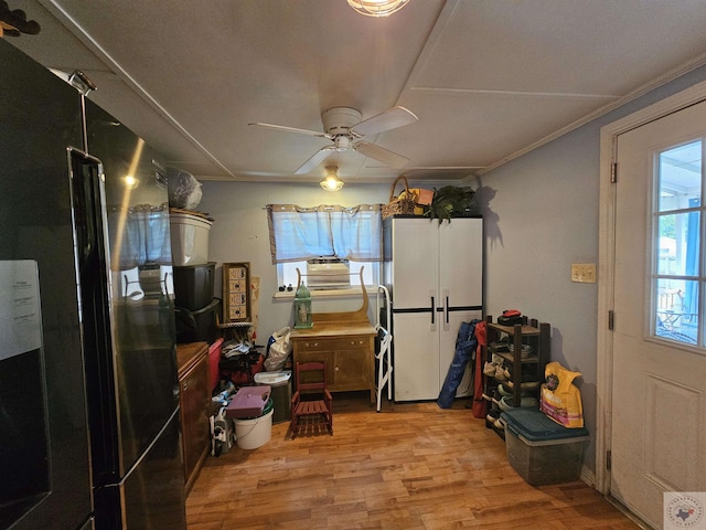 kitchen featuring ceiling fan, ornamental molding, refrigerator, and light wood-type flooring