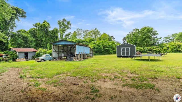 view of yard featuring a storage shed, an outbuilding, an outdoor structure, and a trampoline