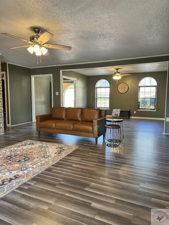 living room featuring ceiling fan, a wealth of natural light, dark hardwood / wood-style flooring, and a textured ceiling