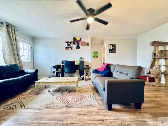 living room with light wood-type flooring, ceiling fan, and crown molding