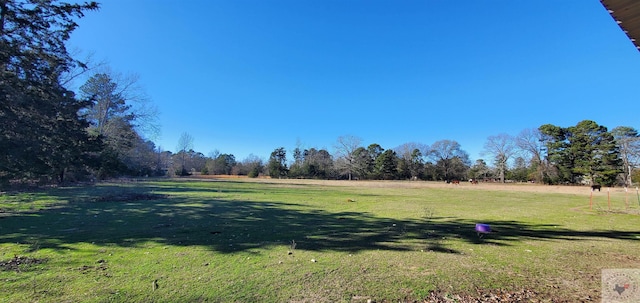 view of yard featuring a rural view